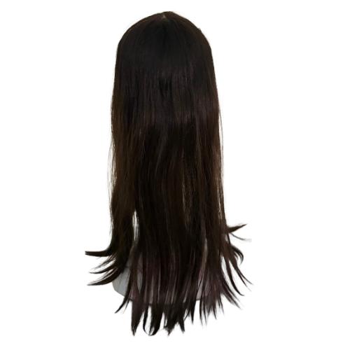 S649 KFD Lace - 6" Cap, 24" Length, Color 4 rooted 2 to ear level, Straight